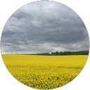 Betül Küçük Betül Küçük