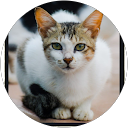 Joylin Marina D Silva